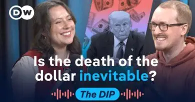 Currencies threatening dollar dominance, the Mamdani economic experiment | The Dip Podcast