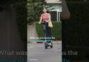 Death of the E-Scooter? | DW News