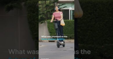 Death of the E-Scooter? | DW News