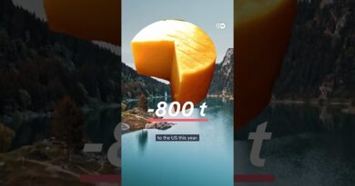 Did the Swiss-US tariff deal save these cows? | DW News