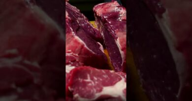 Does the paleo diet work? | 60 Minutes Australia