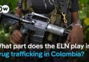 ELN plays key role in Colombia’s cocaine economy  | DW News