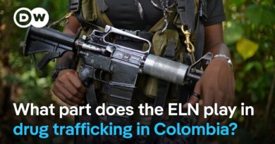 ELN plays key role in Colombia’s cocaine economy  | DW News