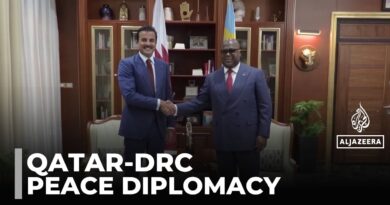 Emir of Qatar in DR Congo: Leaders discuss peace efforts and partnerships