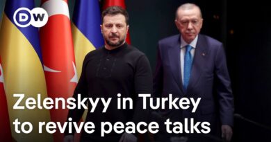 Erdogan urges Ukraine and Russia to return to talks | DW News