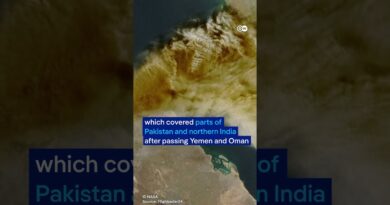 Ethiopia’s volcanic eruption disrupts Indian flights | DW News