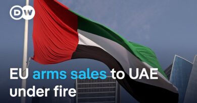 EU considering ban on weapons sales to United Arab Emirates | DW News