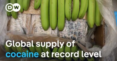 Europe sees a rise of narcotics shipments from Latin America | DW News
