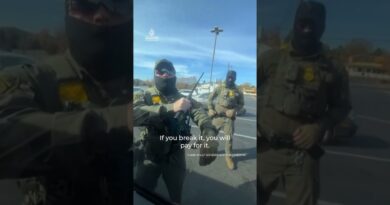 Federal agents smash US citizen’s car window in North Carolina | AJ #shorts