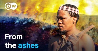 Fighting fire with indigenous knowledge | DW Documentary