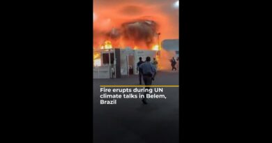 Fire erupts during UN climate talks in Belem, Brazil | AJ #shorts