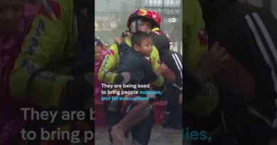 Floods: Death toll rises in Thailand | DW News