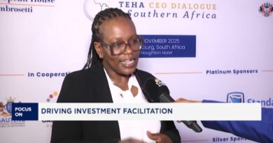 Focus On: The CEO Dialogue on Southern Africa 2025