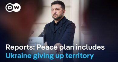 Former Ukraine PM Yatsenyuk:’Russia is just trying to play us’ | DW News