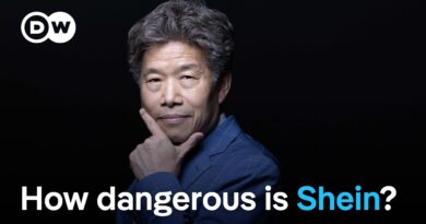 France moves to suspend Shein website | DW News