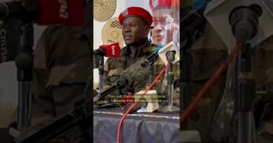 Freed activists recount detention ordeal in Uganda | DW News