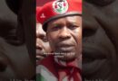 Freed Kenyan activists allege mistreatment after month in Ugandan detention | AJ #shorts