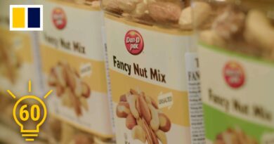 From Vietnam war refugee to Canada’s ‘cashew king’