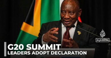 G20 summit in South Africa adopts declaration despite US snub