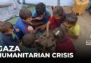 Gaza After Ceasefire: Humanitarian Crisis Threatens Children and Families
