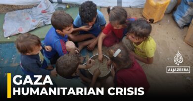Gaza After Ceasefire: Humanitarian Crisis Threatens Children and Families