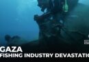 Gaza’s devastated fishing industry: Vital source of Palestinian livelihoods near collapse
