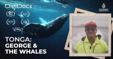 George & The Whales: A Guide’s Life Among Tonga’s Giants | DigiDocs