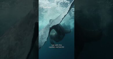 George & The Whales | DigiDocs Shorts