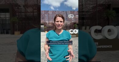 German Chancellor Merz at COP30 | DW News