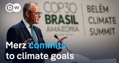 German Chancellor Merz confirmes Germany’s commitment to international climate efforts | DW News