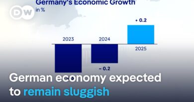 German economic council cuts growth forecast for 2026 | DW News