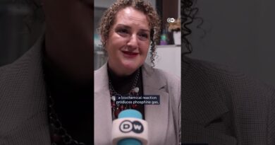 German-Turkish family of four dies in Istanbul: Why pesticides might be the culprit