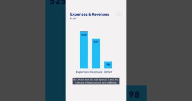 Germany locks in its 2026 budget | DW News