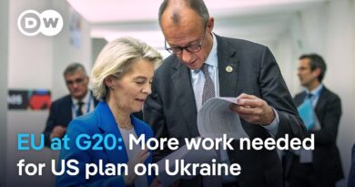 Germany’s Merz: US ‘peace plan’ needs Ukraine agreement | DW News