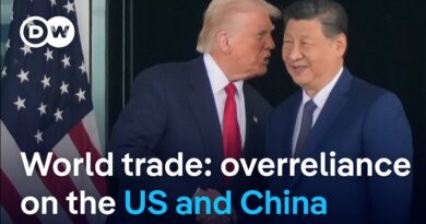 Global Trade chief: The overdependence on the US and China for trade must be corrected | DW News