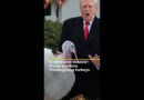 ‘Gobble and Waddle’: Trump pardons Thanksgiving turkeys, blasts Democrats | #ajshorts