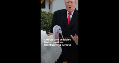 ‘Gobble and Waddle’: Trump pardons Thanksgiving turkeys, blasts Democrats | #ajshorts