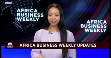 Godongwana endorses 3% inflation target