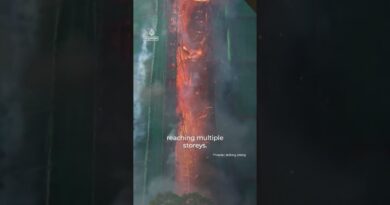 Hong Kong police end rescue operation after deadly apartment inferno | AJ #shorts