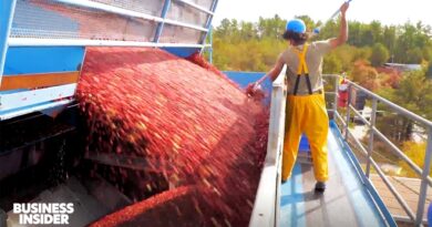 How Americans Spend $2 Billion On Food For Thanksgiving | Business Insider