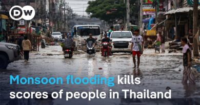 How are hospitals handling the numbers of injured patients? | DW News