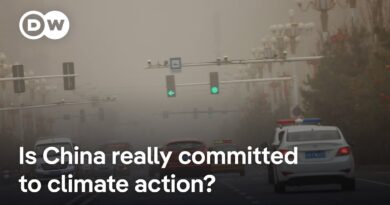 How China has taken the world’s attention off the US at COP30 | DW News