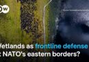 How do Latvia’s peatlands fit into NATO’s frontline defense strategy? | DW News