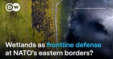 How do Latvia’s peatlands fit into NATO’s frontline defense strategy? | DW News