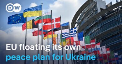How does the EU’s plan compare to Trump’s peace plan for Ukraine? | DW News