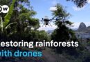 How drones could help bring dead rainforests back to life | DW News