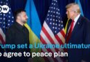 How is Europe reacting to Trump’s ultimatum to Ukraine? | DW News