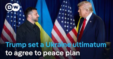 How is Europe reacting to Trump’s ultimatum to Ukraine? | DW News