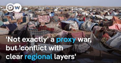 How ‘money, weapons, and diplomatic support’ from regional actors are fueling atrocities in Sudan