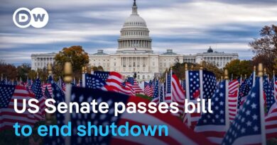 How severely has the shutdown affected the American people and the broader economy? | DW News